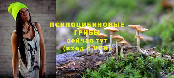 2c-b Струнино