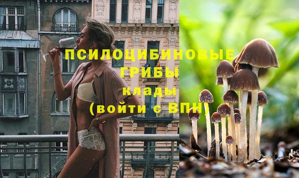 прущая мука Белокуриха