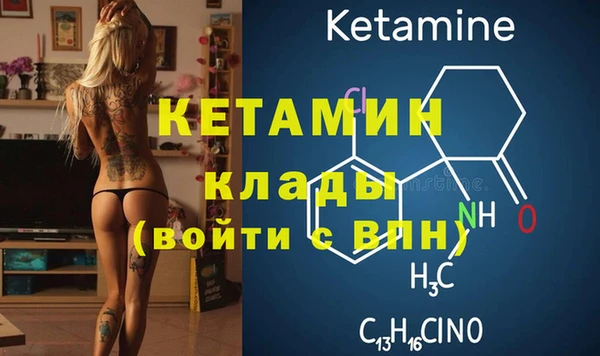 прущие грибы Богородицк