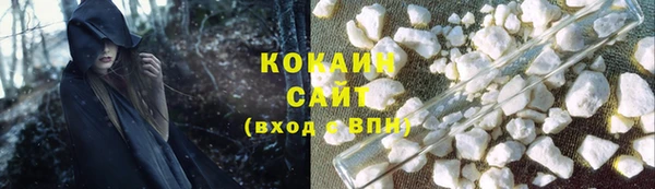 прущие грибы Богородицк