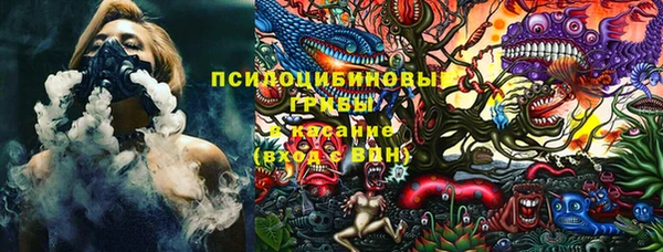 2c-b Струнино